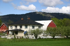 Bergenbahn