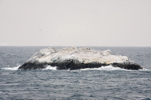 Teilnehmende einer Antarktis-Expedition mit der Polarstern haben im Weddellmeer eine Insel entdeckt, die bisher auf Seekarten noch nicht verzeichnet ist.