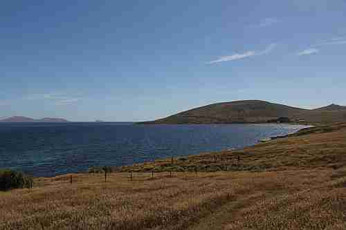 Falkland-Inseln, Carcass Island