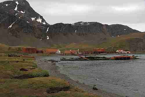 Südgeorgien, Grytviken