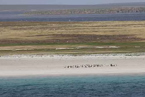 Falkland-Inseln, Bleaker Island