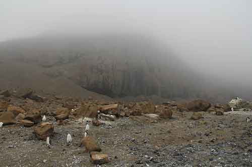 Antarctic Sound, Brown Bluff