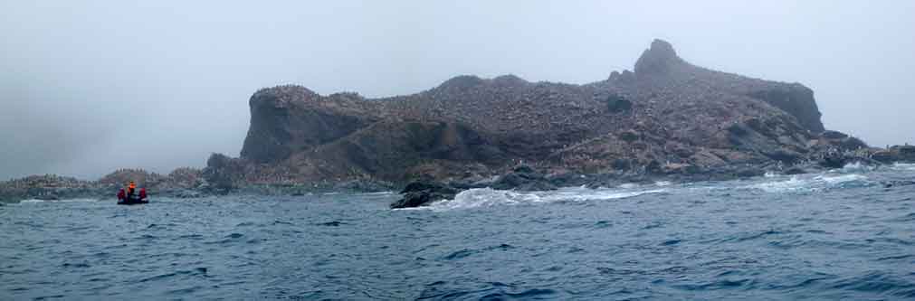 Antarktische Halbinsel, Elephant Island, Point Wild