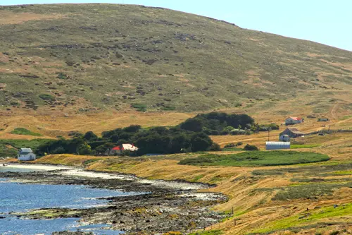 Falkland-Inseln, Carcass Island, Farm McGills