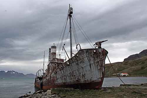 Südgeorgien, Grytviken, Wrack der Petrel