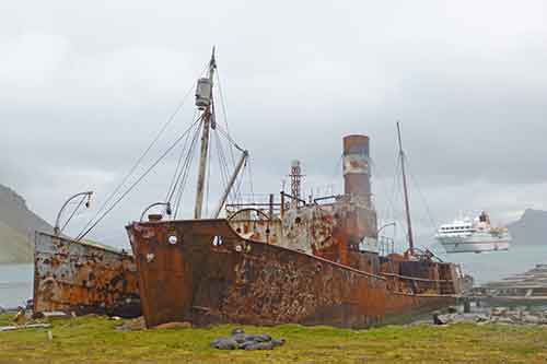 Südgeorgien, Grytviken, Wrack der Dias und Albatros