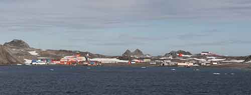 Südshetlandinseln, King George Island, Maxwell Bay