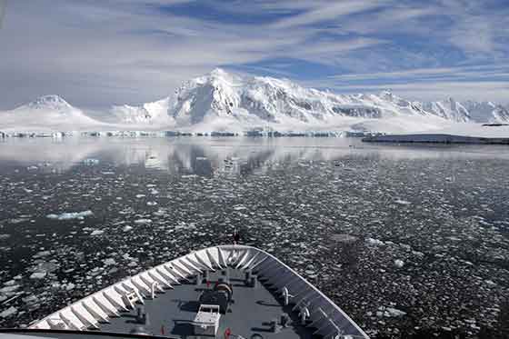 Antarktische Halbinsel, Wiencke Island
