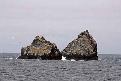 Südgeorgien, Shag Rocks