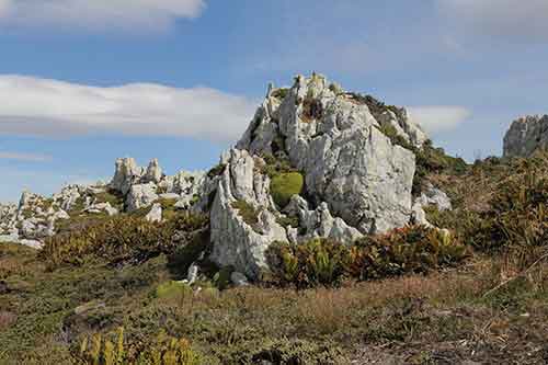 Falkland-Inseln, Stanley-Umgebung, Gypsy Cove