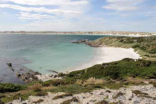 Falkland-Inseln, Stanley-Umgebung, Gypsy Cove