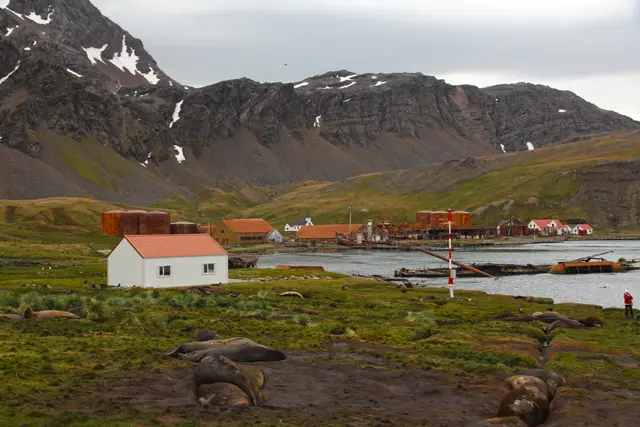 Südgeorgien, Grytviken