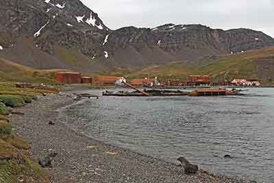 Südgeorgien, Grytviken