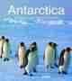 Antarctica., Rezension Mike LUCAS: Antarctica.