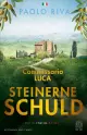 Steinerne Schuld., Rezension Paolo RIVA: Steinerne Schuld.