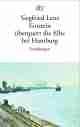Cover Einstein überquert die Elbe bei Hamburg.