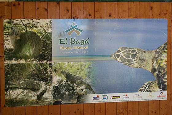 Cayo Coco - Parque Natural El Bagá