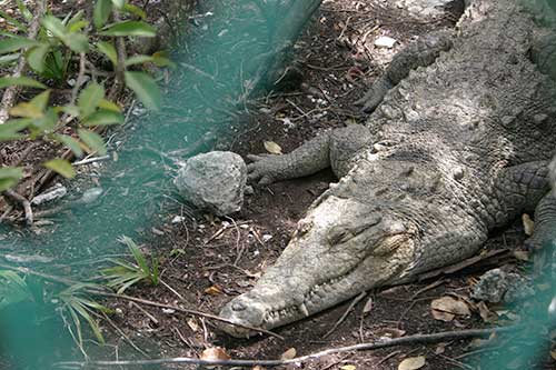 Cayo Coco, Parque Natural El Bagá