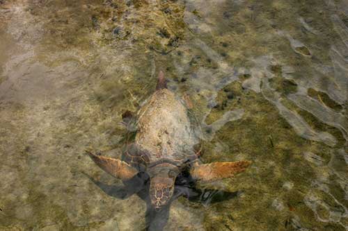 Cayo Coco, Parque Natural El Bagá