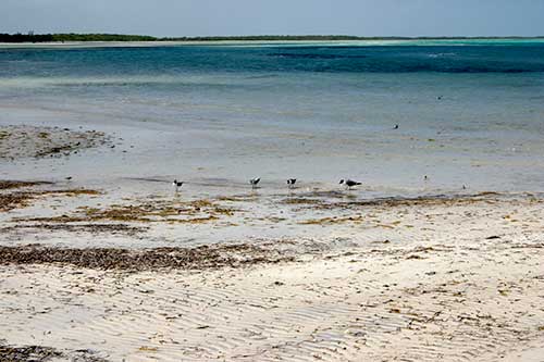 Cayo Coco, Parque Natural El Bagá