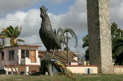 Morón, El Gallo de Morón