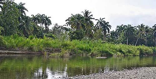 Baracoa, Parque Natural Río Toa