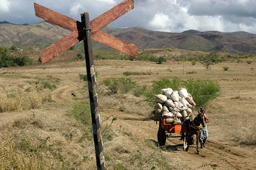 Valle de los Ingenios, Tren de Vapor