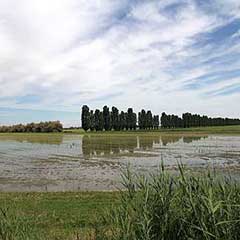 Emilia-Romagna