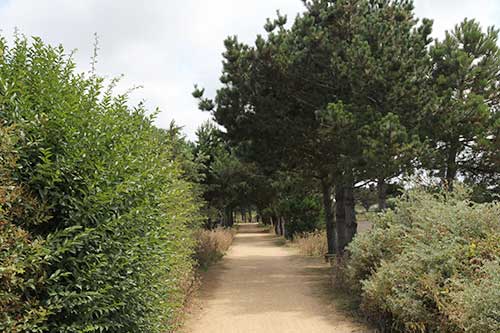 St Brelade, Corbière Walk