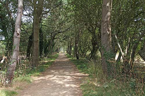 St Brelade, Corbière Walk