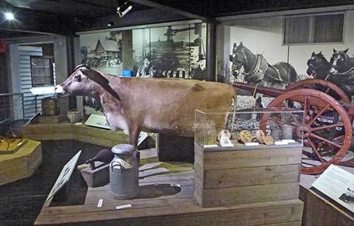 St Helier, Jersey Museum