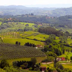 Toskana, Landschaft bei San Miniato