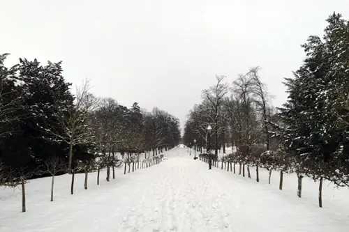 Schloss Eckartsau, Schlosspark, Sichtachse, Winter