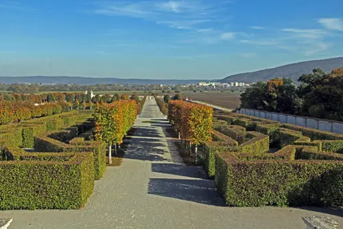 Schloss Hof, Terrasse 7, Labyrinth und Irrgarten