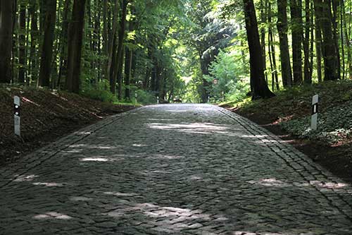 Alleenstraße auf Rügen