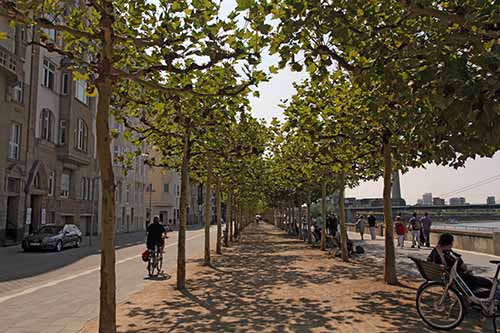 Düsseldorf, Rheinuferpromenade