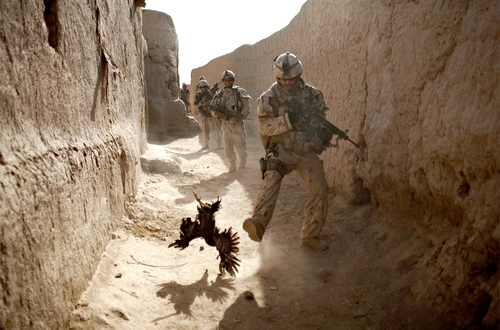 ARD/SWR DIE FOTOGRAFIN UND DER KRIEG, am Montag (12.01.26) um 23:05 Uhr im ERSTEN