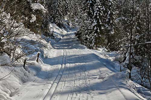 Zauchensee, Zauchloipe