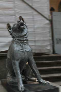 Rügen Jagdschloss Granitz Molosserhund