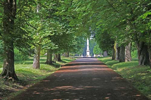 Rügen Putbus Schlosspark Kastanienallee