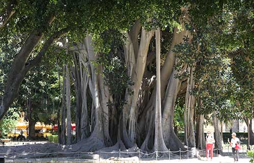 Palermo, Giardino Garibaldi