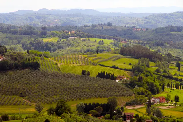 Toskana, Landschaft bei San Miniato