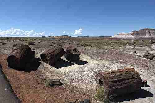 Arizona, Petrified Forrest, Crystal Forest