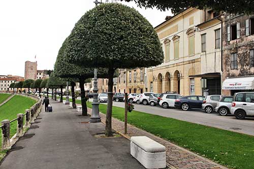 Viale dei Martiri