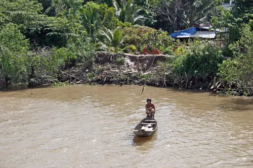 Mekong Delta Landschaft